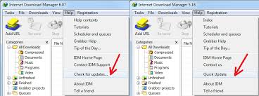 IDM Download