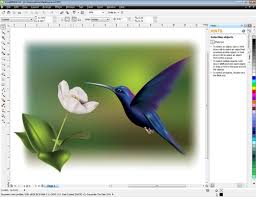 Coreldraw X5 Crackeado Download